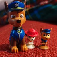 Paw Patrol 