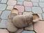 Immagine 1