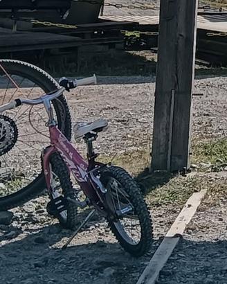 BICI BIMBA TAGLIA 16