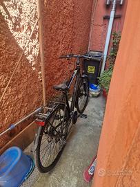 24 marce bici