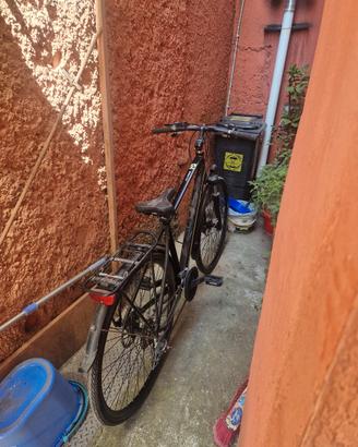 24 marce bici