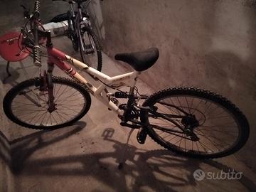 biciclette funzionanti  ben tenute