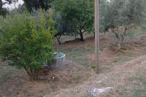 Terreno di 8000m circa