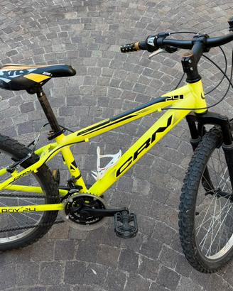 Mountain bike bambino 24”