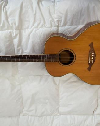 Cort jumbo acustica elettrificata
