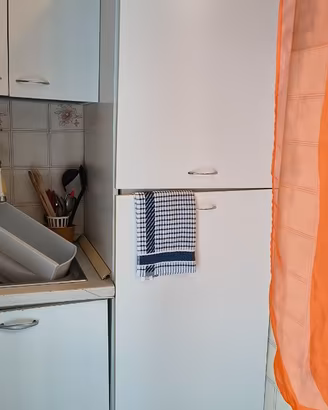 Frigo da incasso