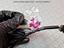 Immagine 9
