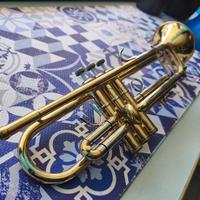 Tromba Professionale B&S