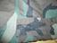 Immagine 5