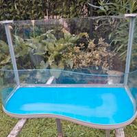 Tartarughiera per tartarughe piccole d’acqua dolce