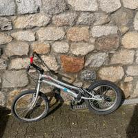 Bicicletta da trial