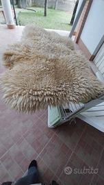 tappeti di pecora
