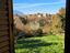 Immagine 15