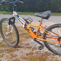 bicicletta bici