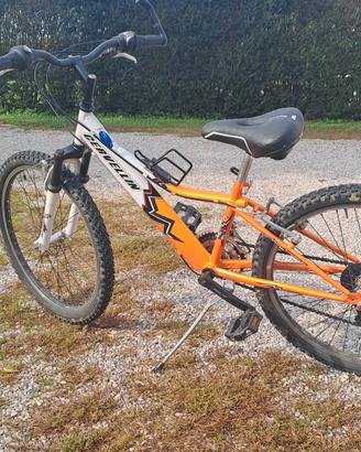 bicicletta bici