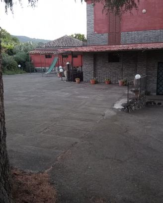 Party