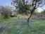 Immagine 27