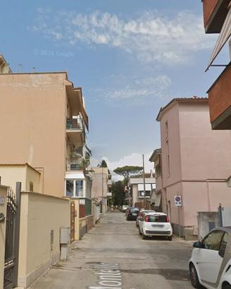 Nettuno luminoso monolocale arredato