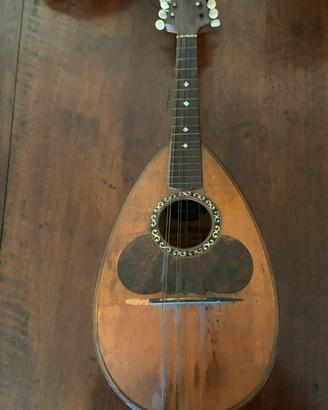 Mandolino Napoletano  Liutaio Gaetano Vinaccia ‘19