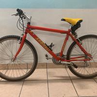 Mtb Ardielli