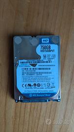 Hard disk interno 750Gb