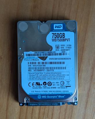 Hard disk interno 750Gb