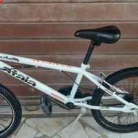 bici n.20 marciante bmx doppio colore atala 