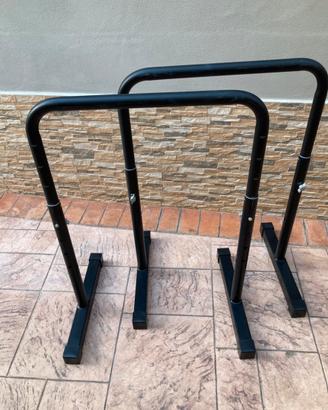 Barre per dip ts 100 regolabili