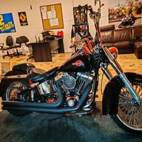  scarico rinehart harley davidson softail 
