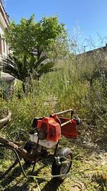 Lavori di giardinaggio
