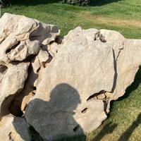 Rocce da giardino