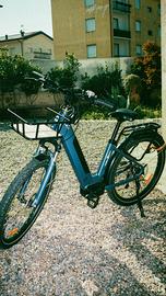 Bici elettrica