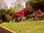 Immagine 26