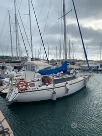 Barca a vela COMET 910