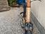 Immagine 6
