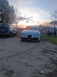 Giulia veloce q4