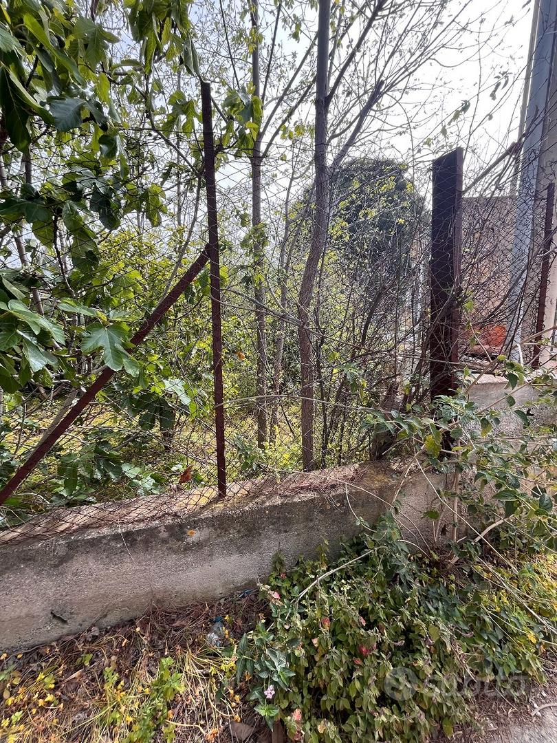 V/1257 Appezzamento di terreno uso parcheggio - Vista 3