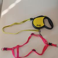 guinzaglio ,collare ,e collare a pettorina 