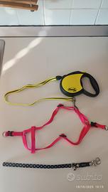 guinzaglio ,collare ,e collare a pettorina 