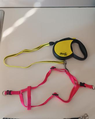 guinzaglio ,collare ,e collare a pettorina 