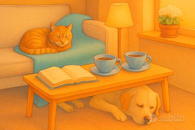 Badante Compagnia leggera e cura animali