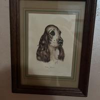 Quadro cocker spainel