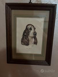 Quadro cocker spainel