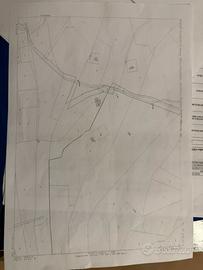 Terreno5,5 ettari con casa rustica-Cugnana Costa-a