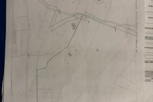 Terreno5,5 ettari con casa rustica-Cugnana Costa-a