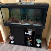 Acquario con mobile con ante.