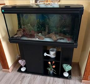 Acquario con mobile con ante.