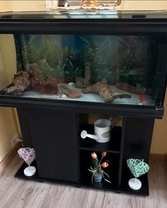 Acquario con mobile con ante.
