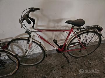bicicletta da passeggio