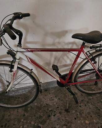 bicicletta da passeggio